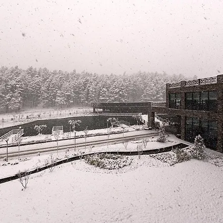 Hotel Elite World Grand Sapanca