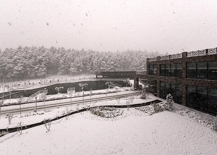 Otel Elite World Grand Sapanca